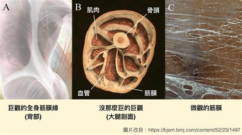 牽一髮動全身|牽一髮動全身 [編輯總資料庫]